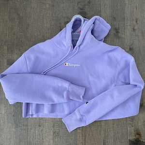 CHAMPION CROPPED HOODIE (UO EXCLUSIVE)